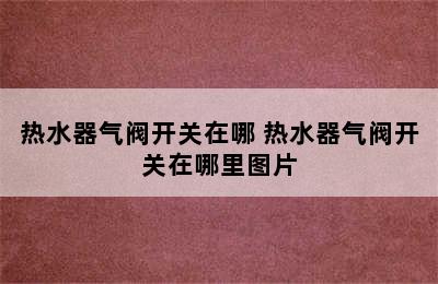 热水器气阀开关在哪 热水器气阀开关在哪里图片